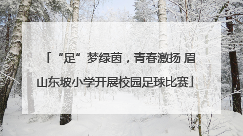 “足”梦绿茵，青春激扬 眉山东坡小学开展校园足球比赛