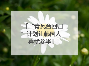 “青瓦台回归”计划让韩国人喜忧参半