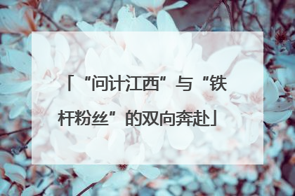 “问计江西”与“铁杆粉丝”的双向奔赴