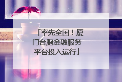 率先全国！厦门台胞金融服务平台投入运行