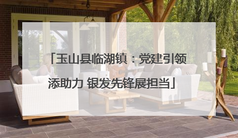 玉山县临湖镇：党建引领添助力 银发先锋展担当