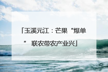 玉溪元江：芒果“爆单” 联农带农产业兴