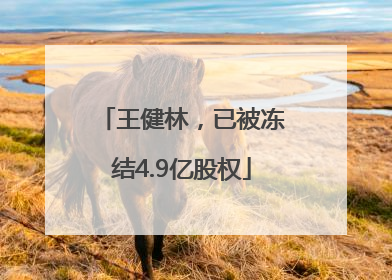王健林，已被冻结4.9亿股权