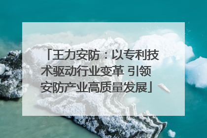 王力安防：以专利技术驱动行业变革 引领安防产业高质量发展