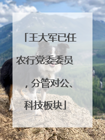 王大军已任农行党委委员，分管对公、科技板块