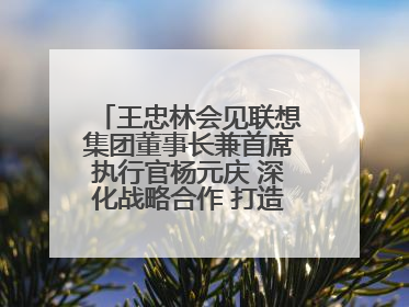 王忠林会见联想集团董事长兼首席执行官杨元庆 深化战略合作 打造世界级光电子信息产业集群