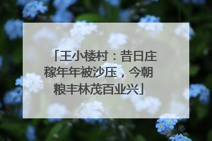 王小楼村：昔日庄稼年年被沙压，今朝粮丰林茂百业兴