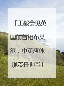 王毅会见英国前首相布莱尔：中英应体现责任担当