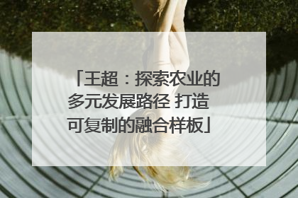 王超：探索农业的多元发展路径 打造可复制的融合样板