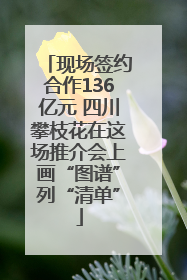 现场签约合作136亿元 四川攀枝花在这场推介会上画“图谱”列“清单”