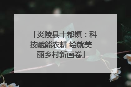 炎陵县十都镇：科技赋能农耕 绘就美丽乡村新画卷