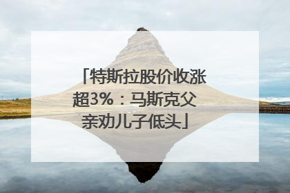 特斯拉股价收涨超3%：马斯克父亲劝儿子低头