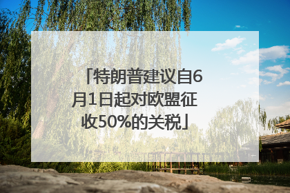 特朗普建议自6月1日起对欧盟征收50%的关税