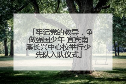 牢记党的教导，争做强国少年 宜宾南溪长兴中心校举行少先队入队仪式