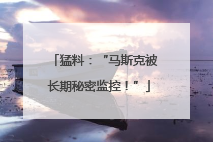 猛料：“马斯克被长期秘密监控！”