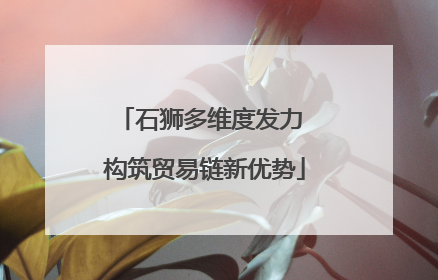 石狮多维度发力 构筑贸易链新优势