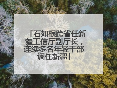 石如根跨省任新疆工信厅副厅长，连续多名年轻干部调任新疆