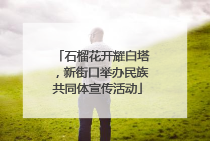 石榴花开耀白塔，新街口举办民族共同体宣传活动