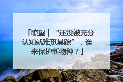 瞭望｜“还没被充分认知就难觅其踪”，谁来保护新物种？