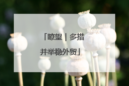 瞭望｜多措并举稳外贸