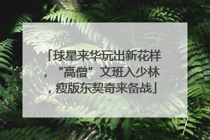 球星来华玩出新花样，“高僧”文班入少林，瘦版东契奇来备战