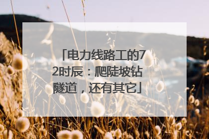 电力线路工的72时辰：爬陡坡钻隧道，还有其它