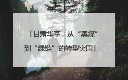 甘肃华亭：从“黑煤”到“绿链”的转型突围