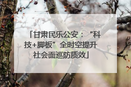 甘肃民乐公安：“科技+脚板”全时空提升社会面巡防质效