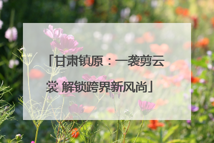 甘肃镇原：一袭剪云裳 解锁跨界新风尚