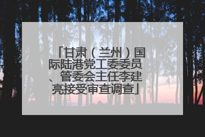 甘肃（兰州）国际陆港党工委委员、管委会主任李建亮接受审查调查