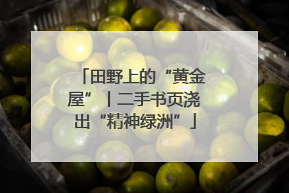 田野上的“黄金屋”丨二手书页浇出“精神绿洲”