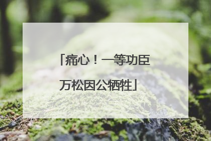 痛心！一等功臣万松因公牺牲