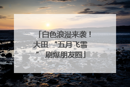 白色浪漫来袭！大田 “五月飞雪” 刷爆朋友圈