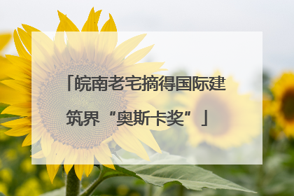 皖南老宅摘得国际建筑界“奥斯卡奖”