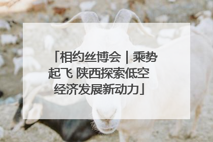 相约丝博会｜乘势起飞 陕西探索低空经济发展新动力