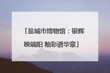 盐城市博物馆：银辉映端阳 釉彩谱华章