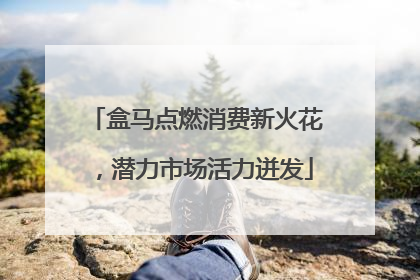 盒马点燃消费新火花，潜力市场活力迸发