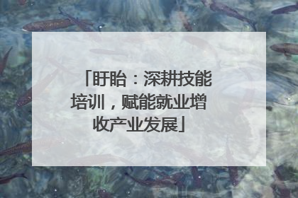 盱眙：深耕技能培训，赋能就业增收产业发展