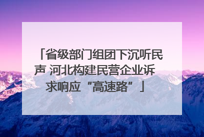 省级部门组团下沉听民声 河北构建民营企业诉求响应“高速路”