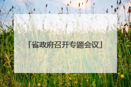省政府召开专题会议