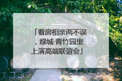 看房相亲两不误，绿城·青竹园里上演高端联谊会