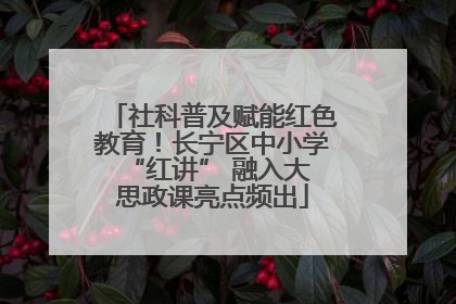 社科普及赋能红色教育！长宁区中小学 “红讲” 融入大思政课亮点频出
