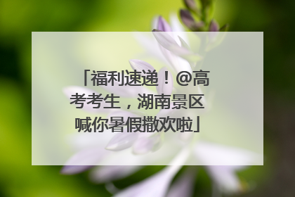 福利速递！@高考考生，湖南景区喊你暑假撒欢啦