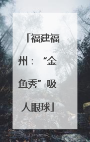 福建福州：“金鱼秀”吸人眼球