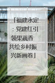 福建永定：党建红引领果蔬香 共绘乡村振兴新画卷