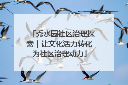 秀水园社区治理探索｜让文化活力转化为社区治理动力