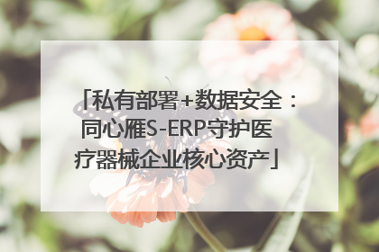 私有部署+数据安全：同心雁S-ERP守护医疗器械企业核心资产