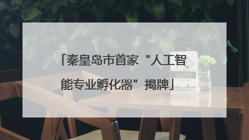 秦皇岛市首家“人工智能专业孵化器”揭牌