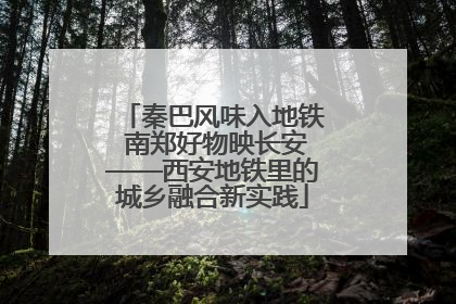 秦巴风味入地铁 南郑好物映长安——西安地铁里的城乡融合新实践