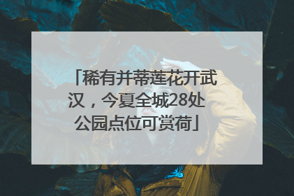 稀有并蒂莲花开武汉，今夏全城28处公园点位可赏荷